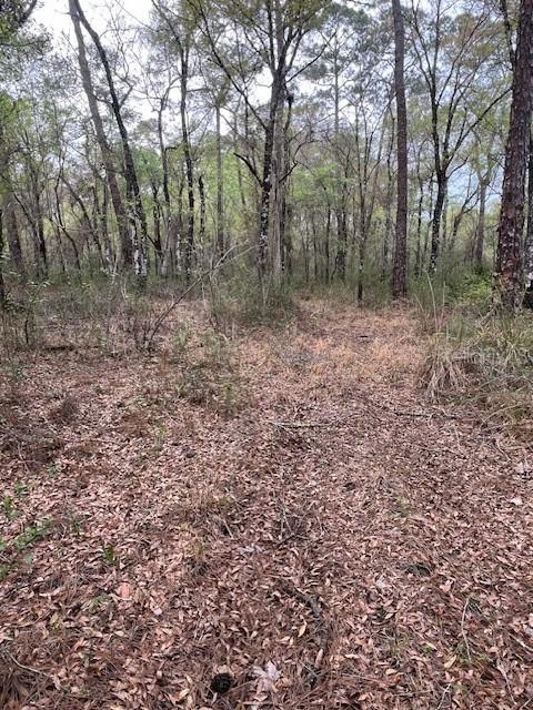 00 Packingham Dr., Webster, FL 33597