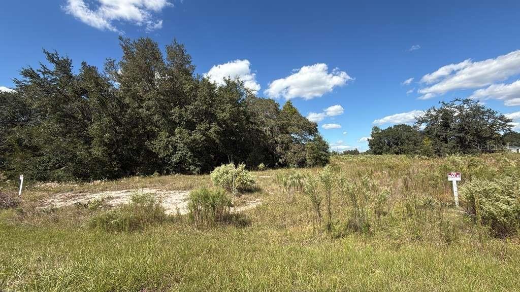 LOT 15 & 16 Sw 105th Pl, Dunnellon, FL 34432