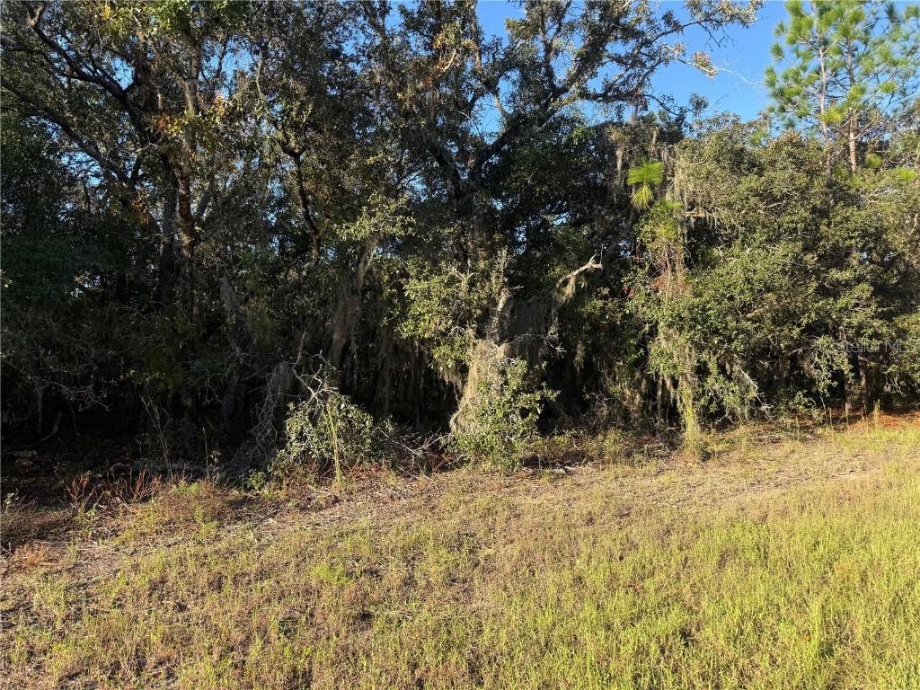 3238 N Sheriff Dr., Beverly Hills, FL 34465