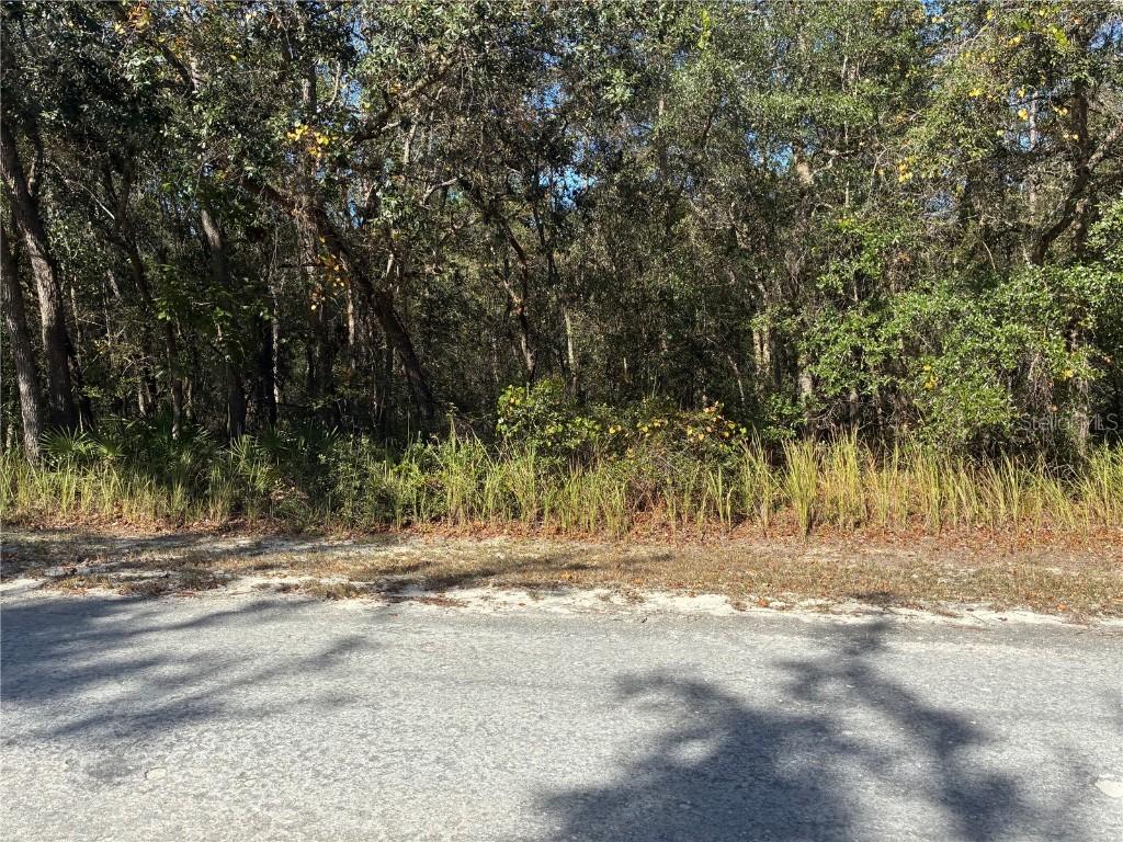Arrowrock St., Webster, FL 33597