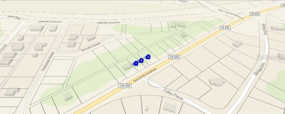 TBD Sorrento Ave., Sorrento, FL 32776