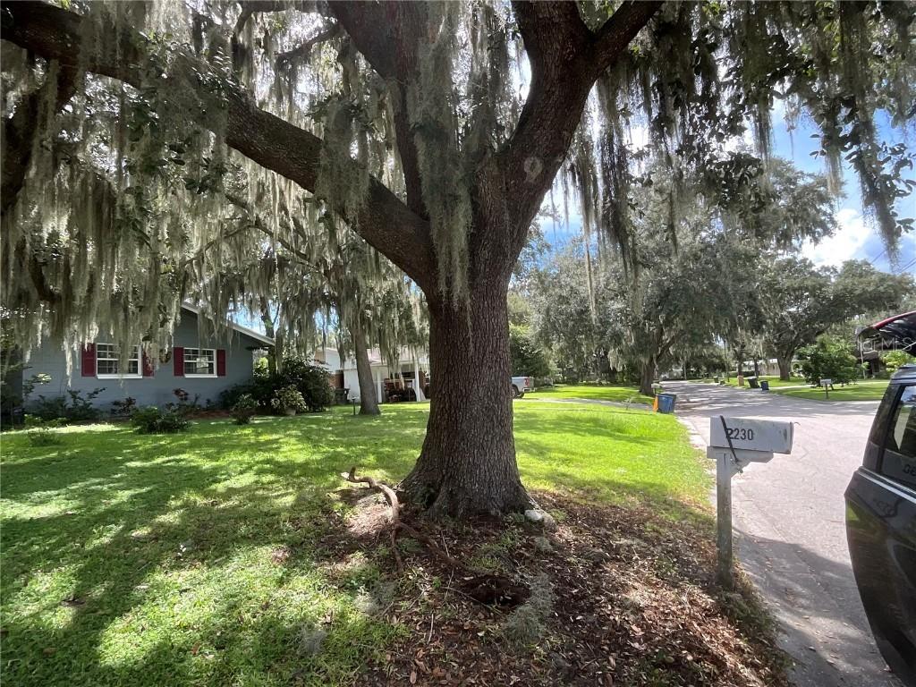 2230 W Helen Cir., Bartow, FL 33830