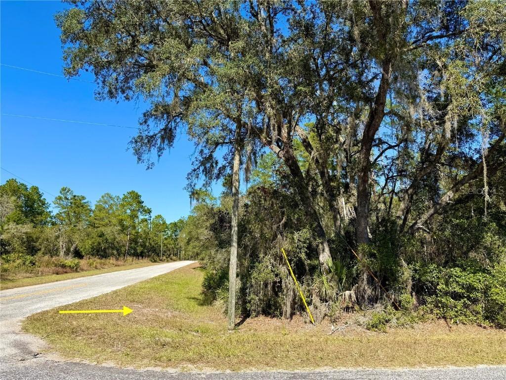 LOT 11 Tulip Ave., Eustis, FL 32736