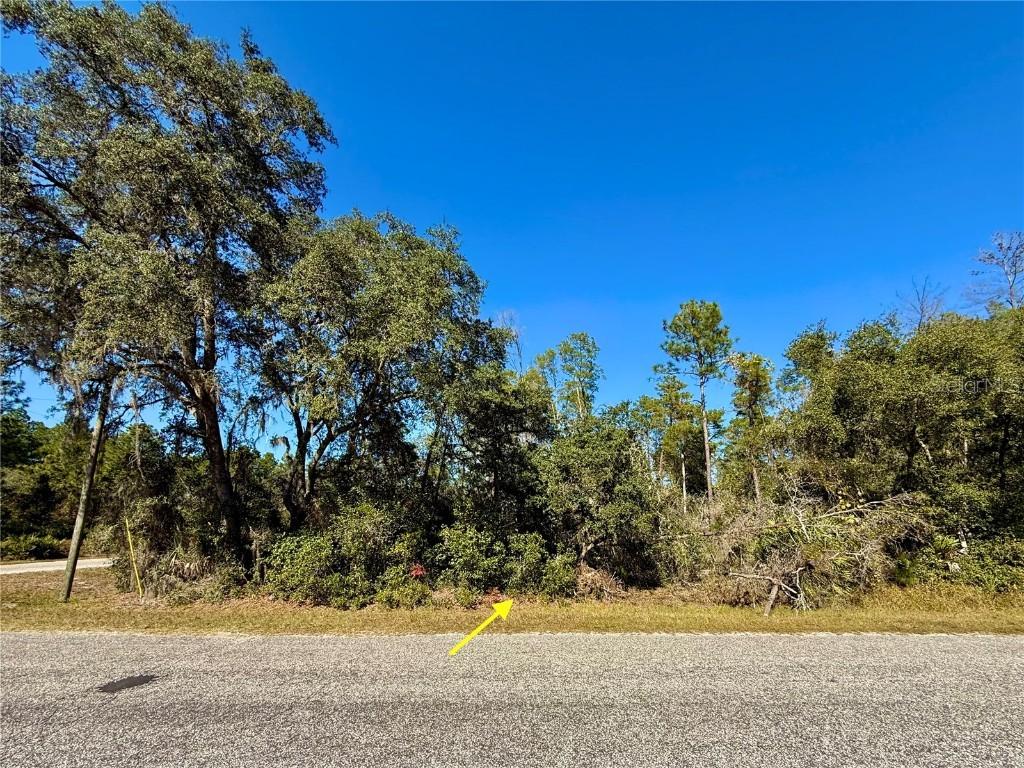 LOT 11 Tulip Ave., Eustis, FL 32736
