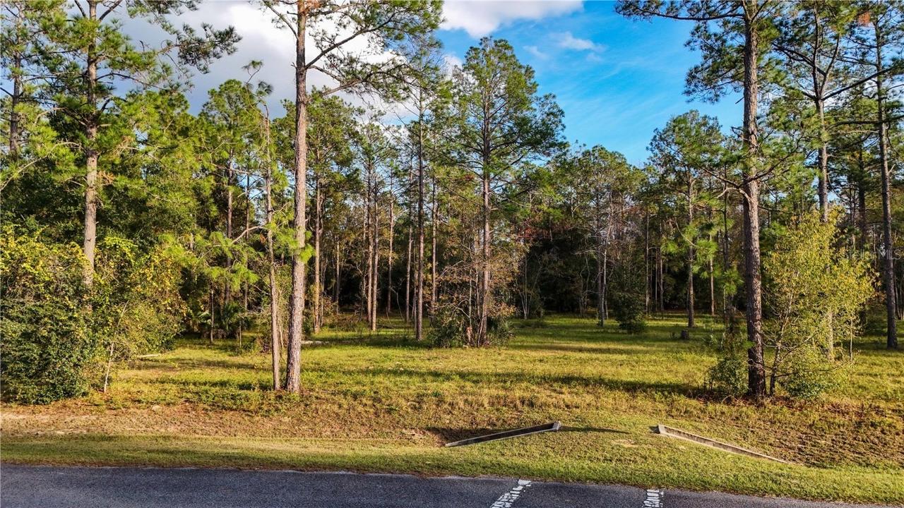 24325 Deep Springs Loop, Eustis, FL 32736