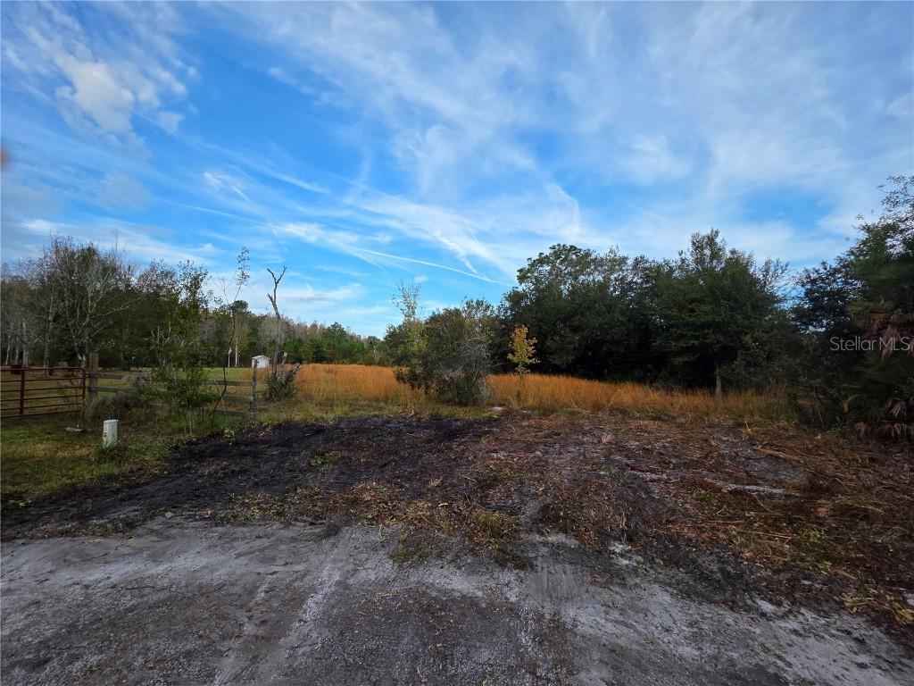 11975 Backland Path, Polk City, FL 33868