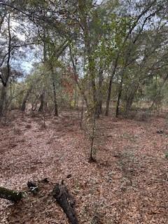 00 Riviera Dr., Interlachen, FL 32148