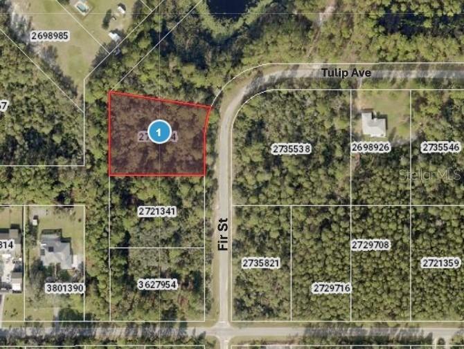 Fir St., Eustis, FL 32736