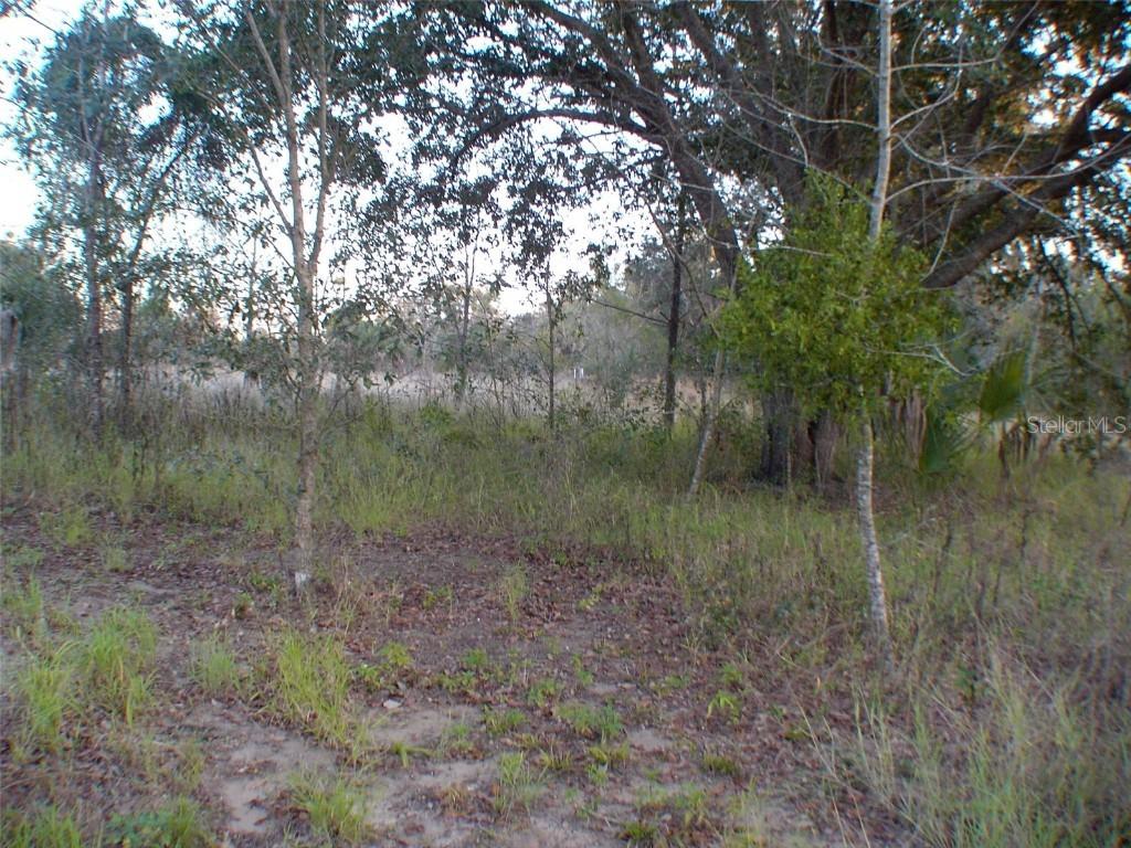 [Address Hidden by Seller], Lady Lake, FL 32159