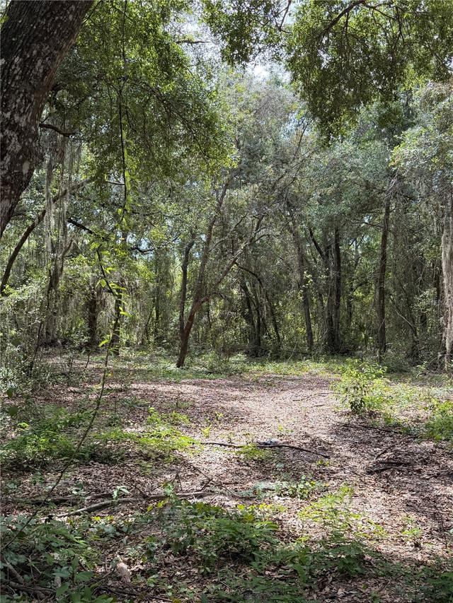 [Address Hidden by Seller], Lady Lake, FL 32159
