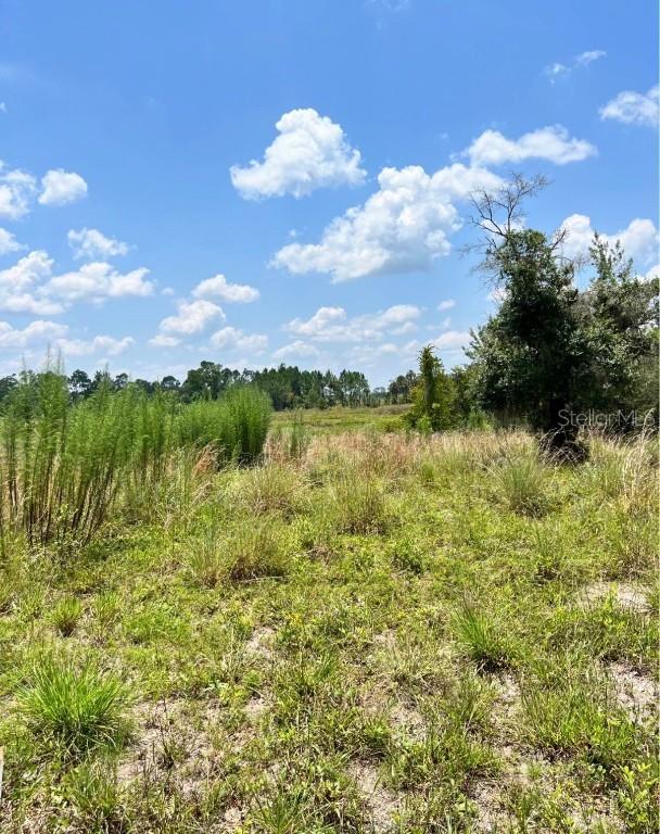 Steward Rd., Eustis, FL 32726