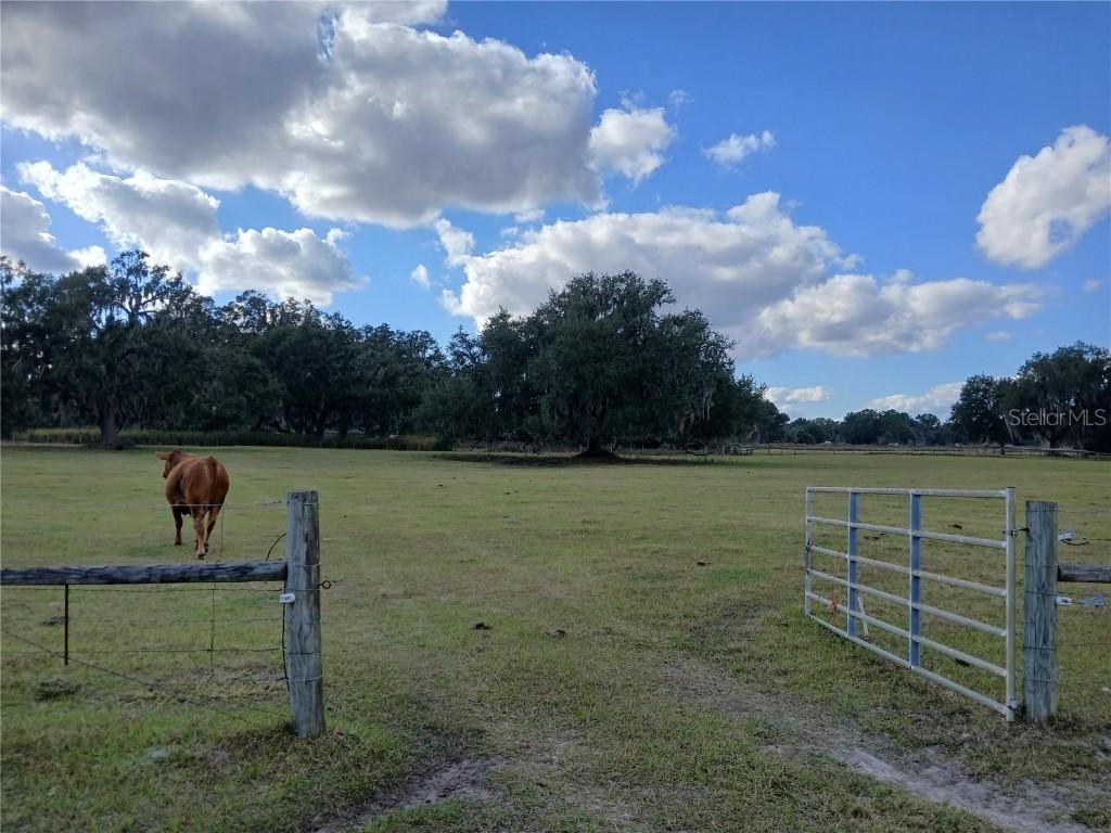 7975 Cr 736, Center Hill, FL 33514