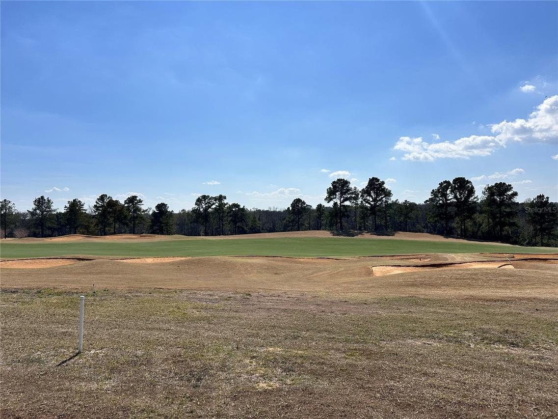 16222 Vetta Dr., Montverde, FL 34756