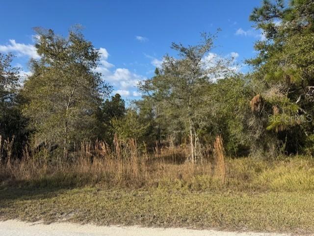 35361 Kramer St., Webster, FL 33597