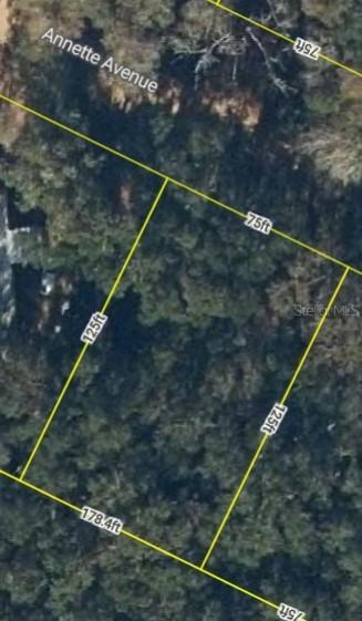 Annette Ave., Interlachen, FL 32148