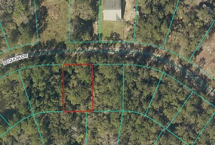 Sequoia Dr., Ocklawaha, FL 32179