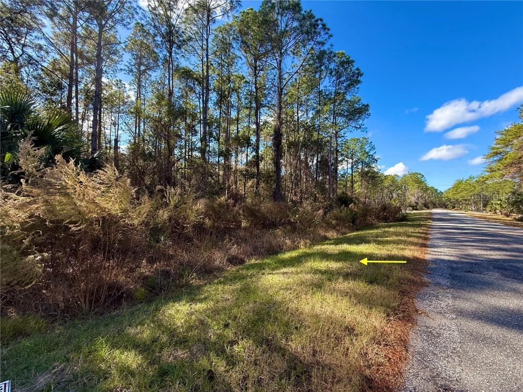 LOT 15 Apricot Ave., Eustis, FL 32736