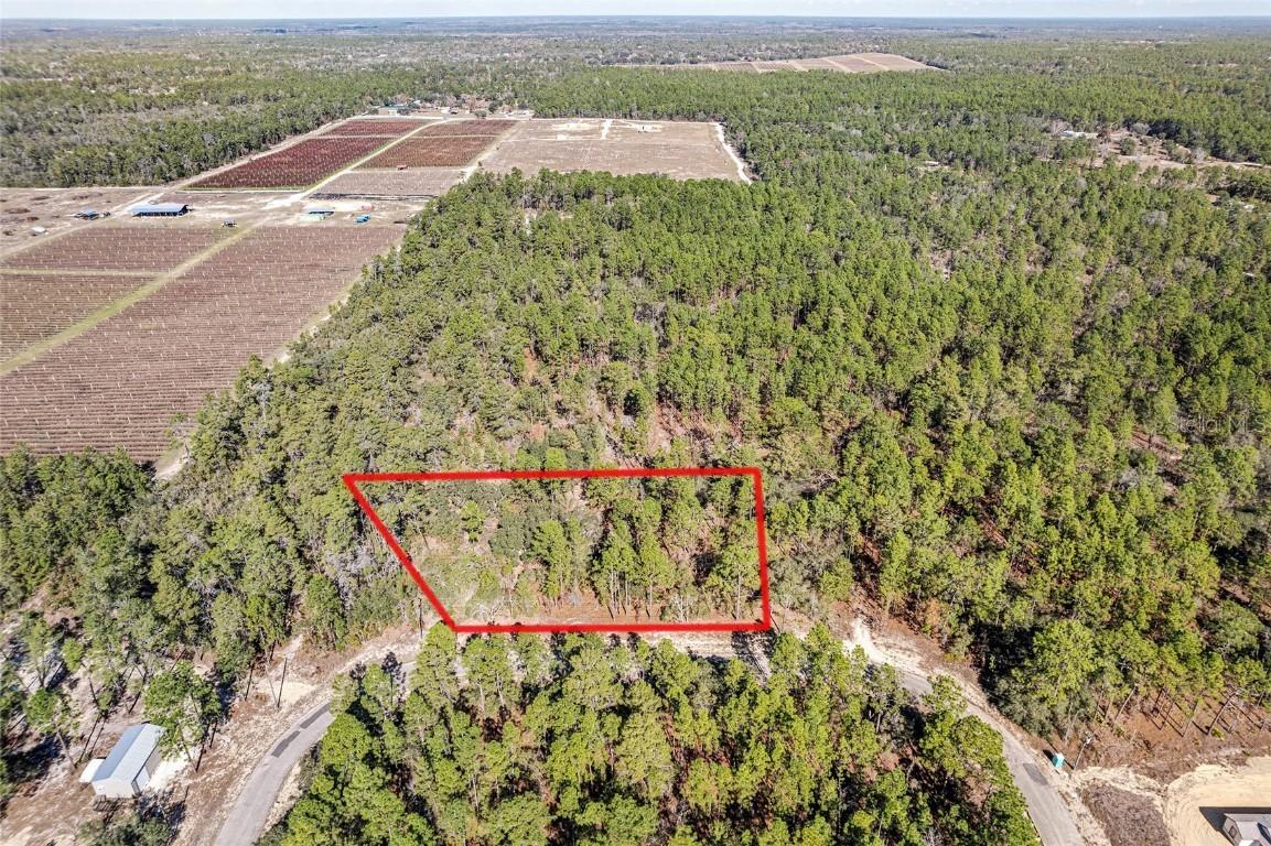 8949 N Farrington Dr., Citrus Springs, FL 34433