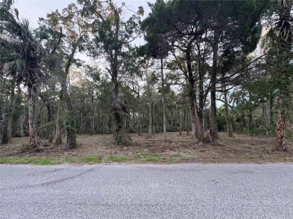 11905 W Eldred Ln., Homosassa, FL 34448