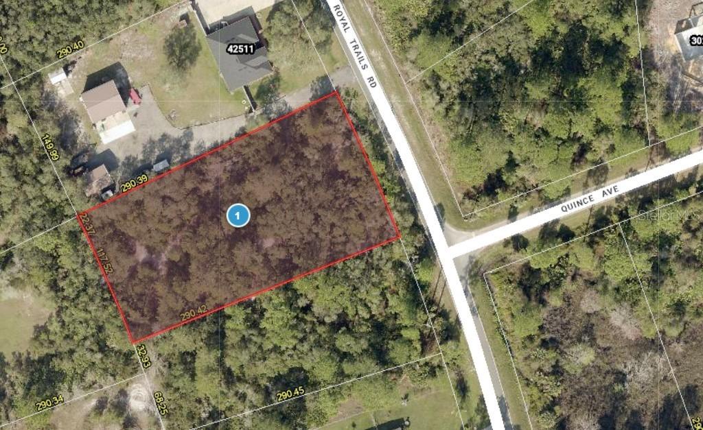 42475 Royal Trails Rd., Eustis, FL 32726
