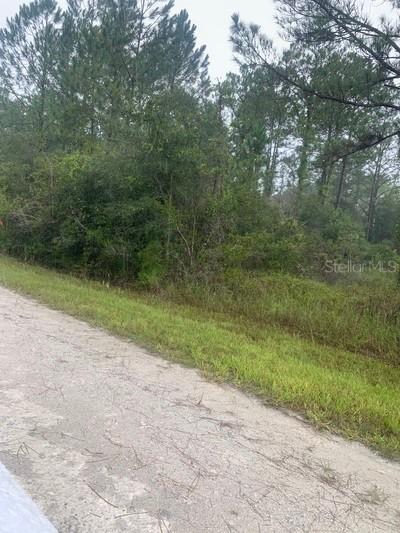 TBD Otter Dr., Webster, FL 33597