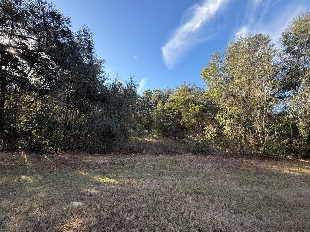 Harris Lake Rd., Lady Lake, FL 32159