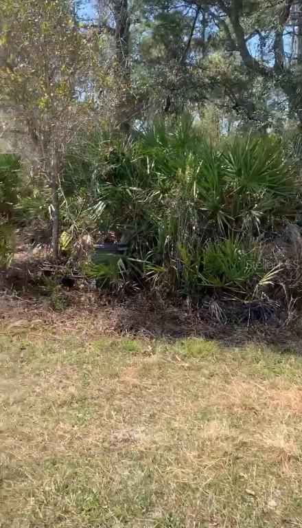 Forest Campsites, Altoona, FL 32702