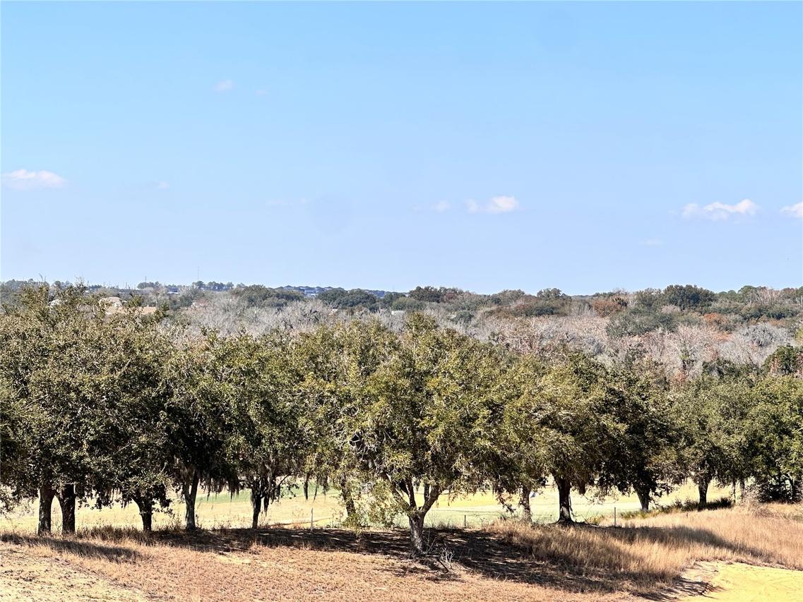 16241 Ravenna Ct., Montverde, FL 34756