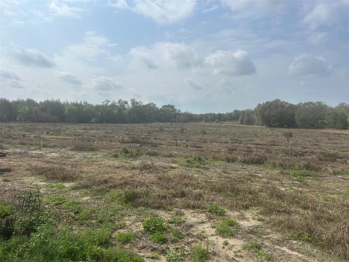 Number Two Rd., Leesburg, FL 34748