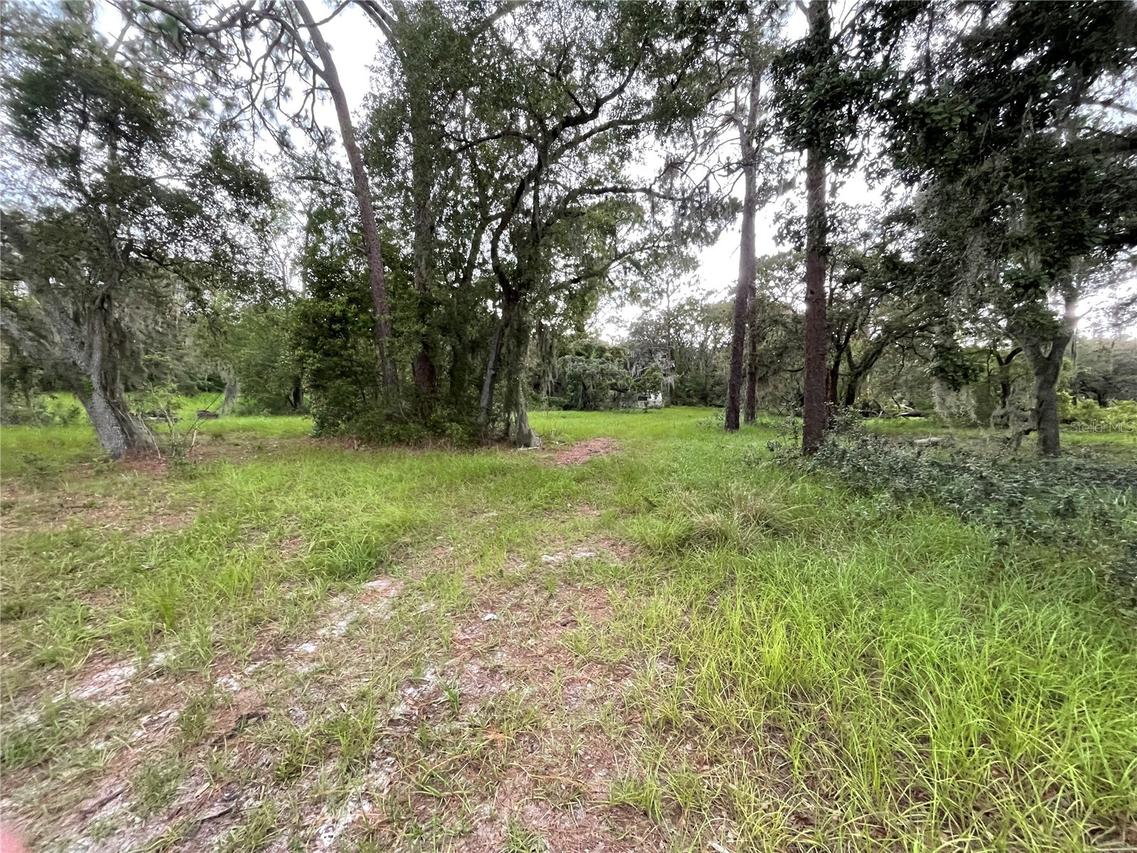 1451 Marker Rd., Polk City, FL 33868