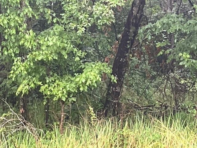 Sharon St., Brooksville, FL 34601