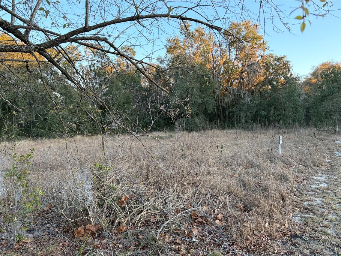 13434 Maryland Ave., Astatula, FL 34705