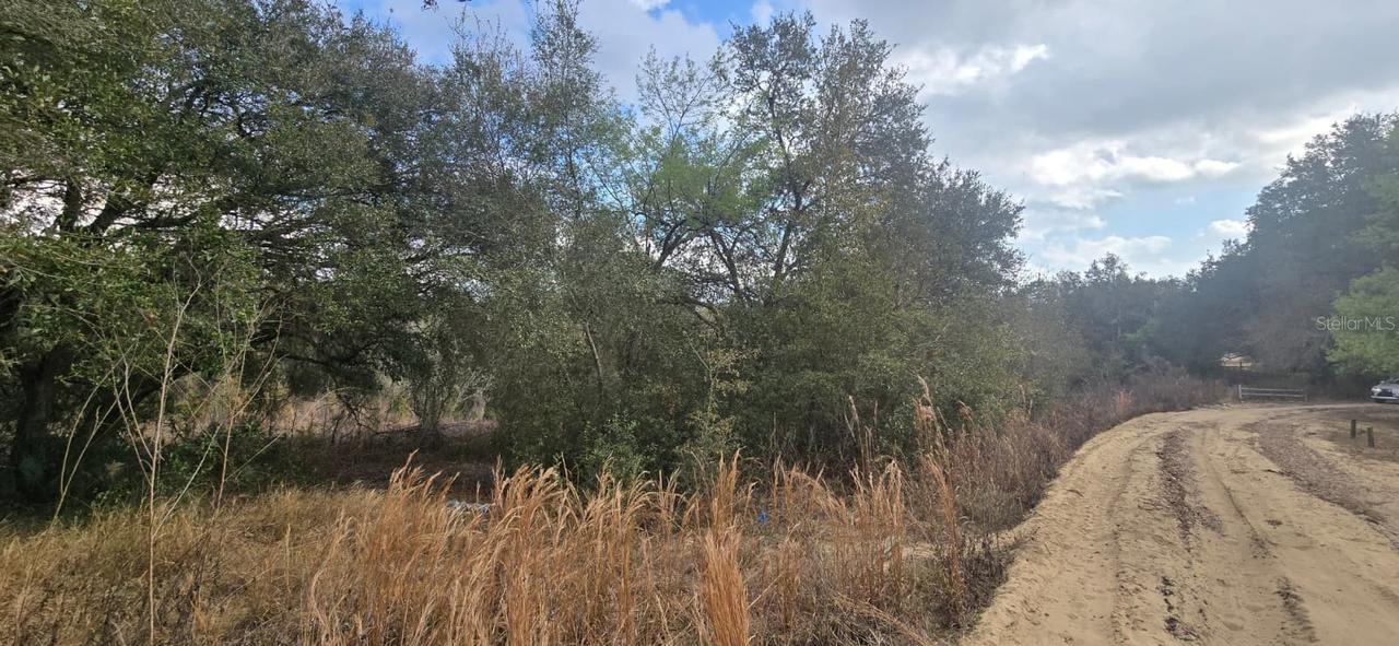 SE 252nd Ave Ave., Umatilla, FL 32784