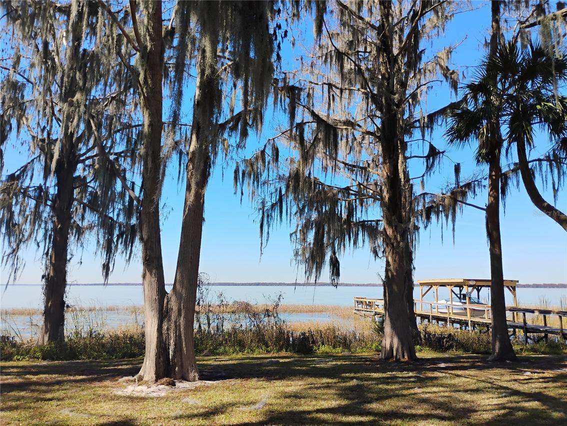 31035 Cove Rd., Tavares, FL 32778