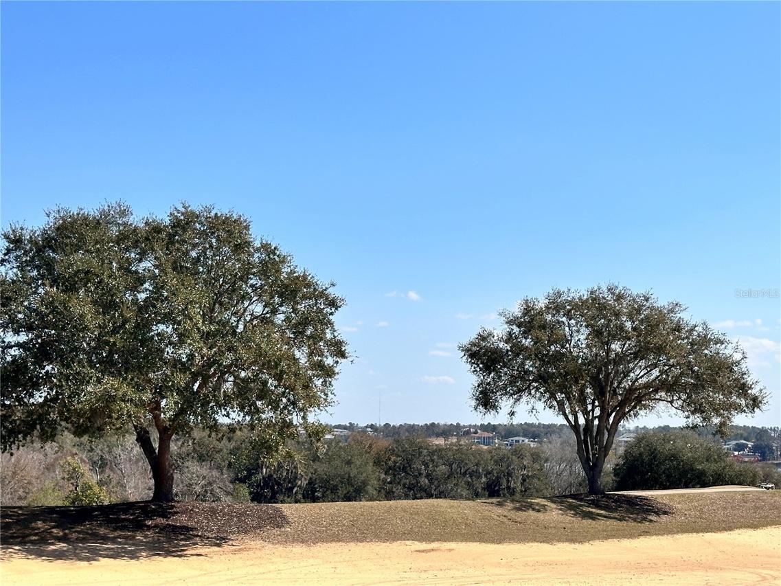 16822 Artimino Loop, Montverde, FL 34756