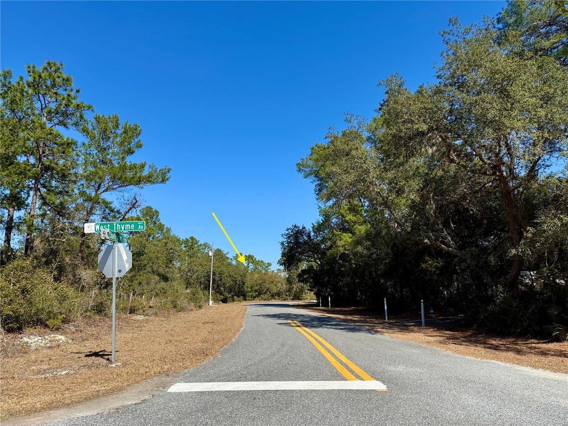 LOT 7 Shady Rose Ct., Eustis, FL 32736