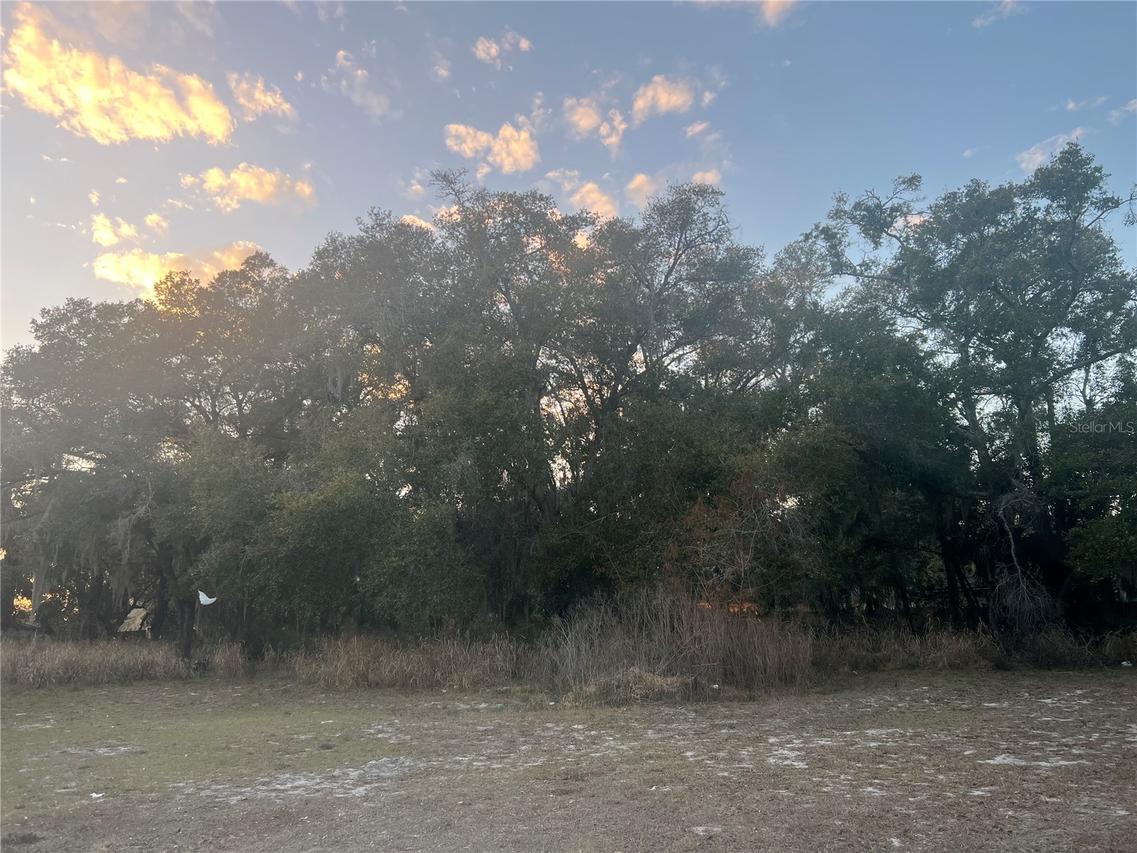 522 Palmetto St., Eustis, FL 32726