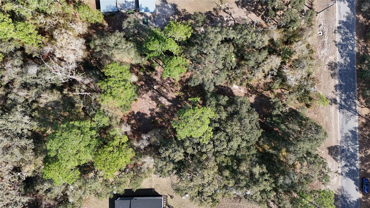 30553 Saffron Ave., Eustis, FL 32736