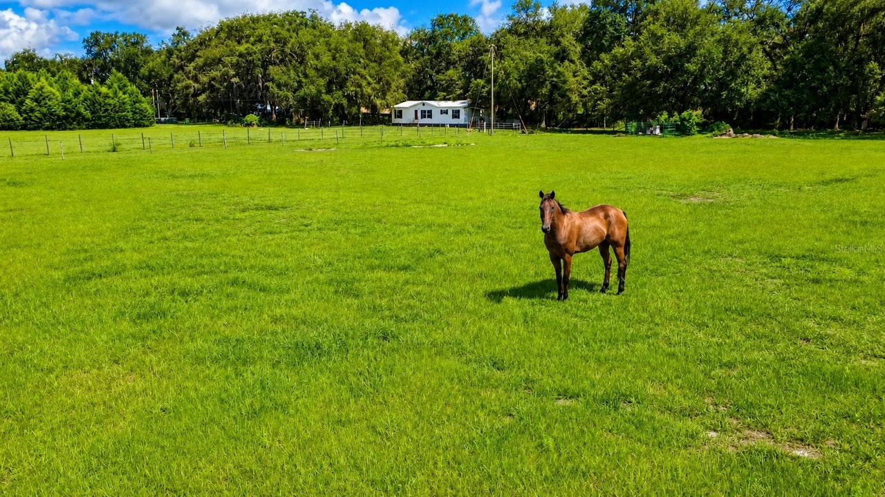 14240 Sr 471, Webster, FL 33597