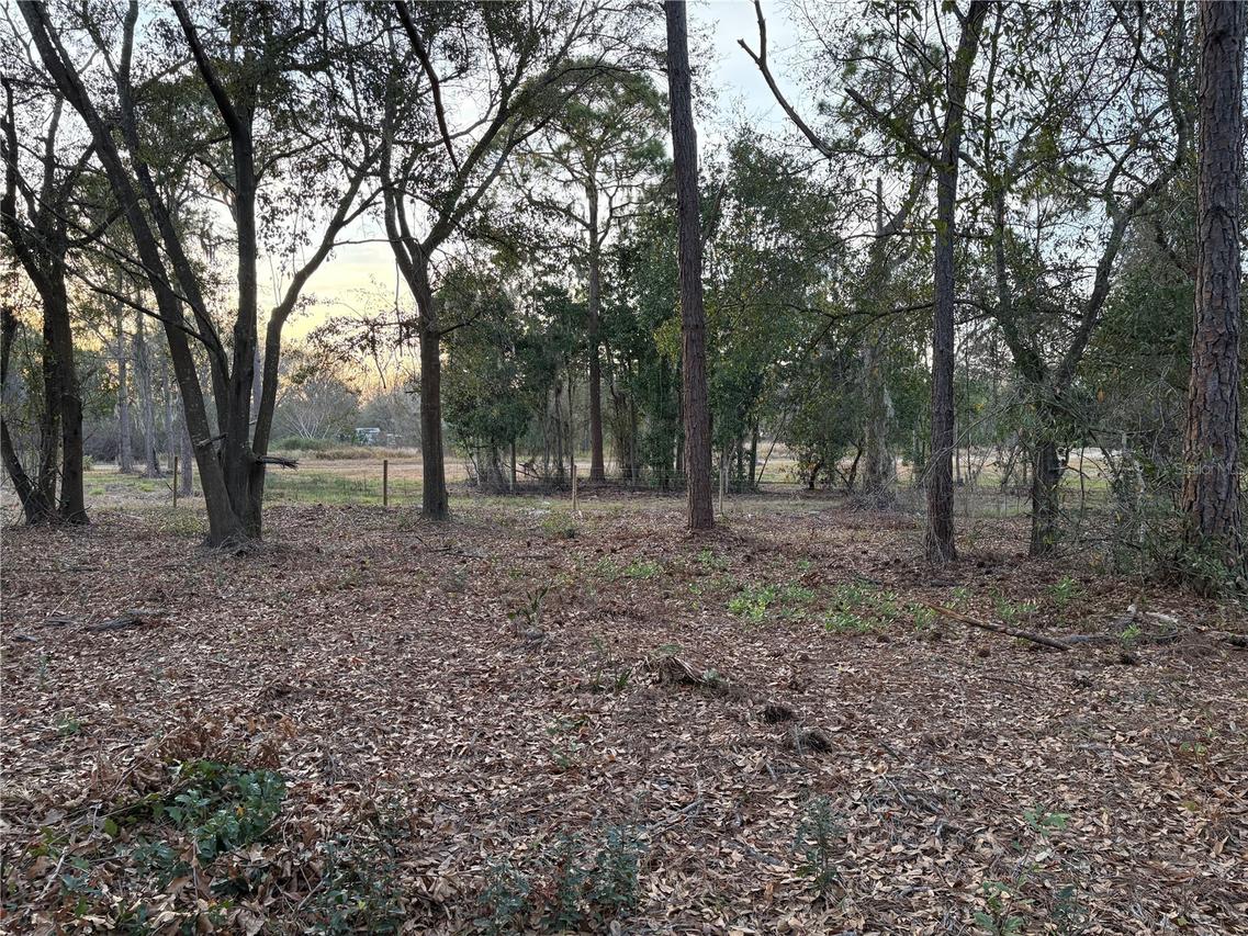 Alturas Babson Park Cutoff Rd. #Lot 78, Bartow, FL 33830