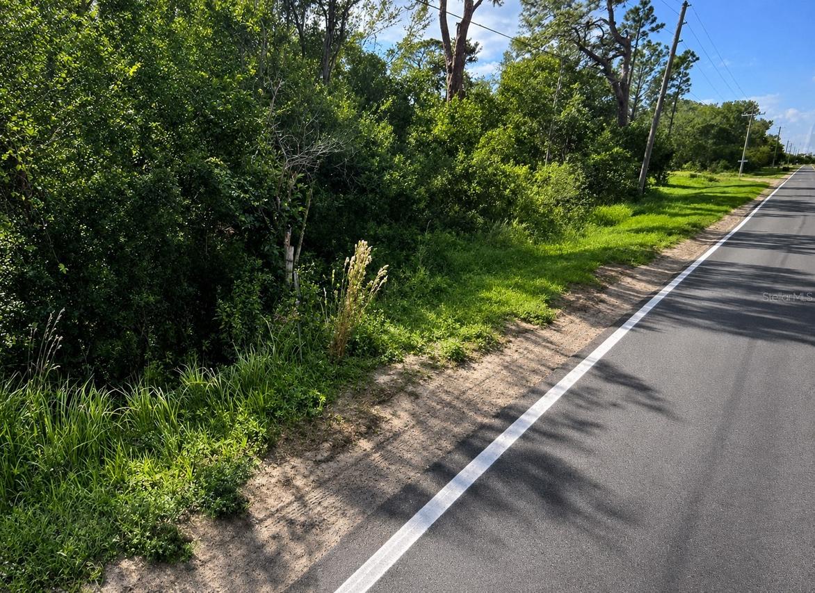 Alturas Babson Park Cutoff Rd. #Lot 78, Bartow, FL 33830