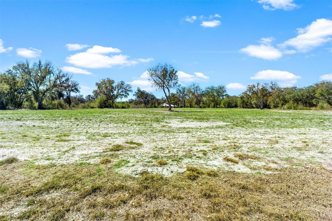 1428 Oxford Preserve Tr., Oxford, FL 34484