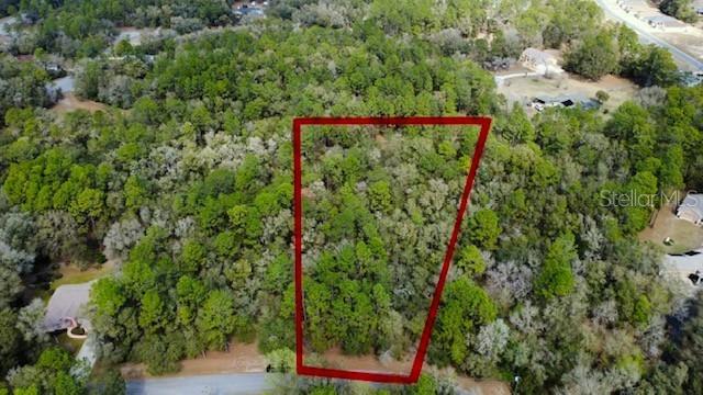 TBD SW Sw 73 Loop Loop, Dunnellon, FL 34432
