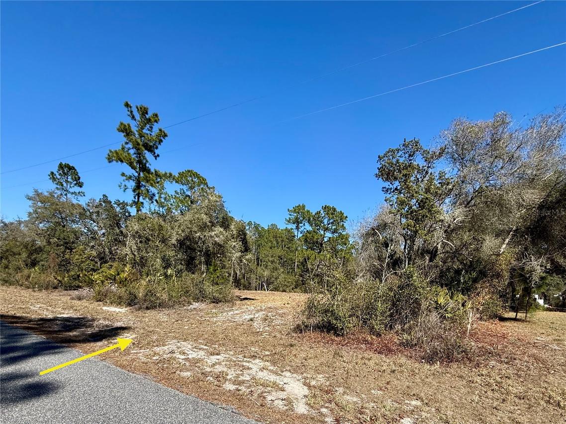 LOT 11 Poinciana St., Eustis, FL 32736