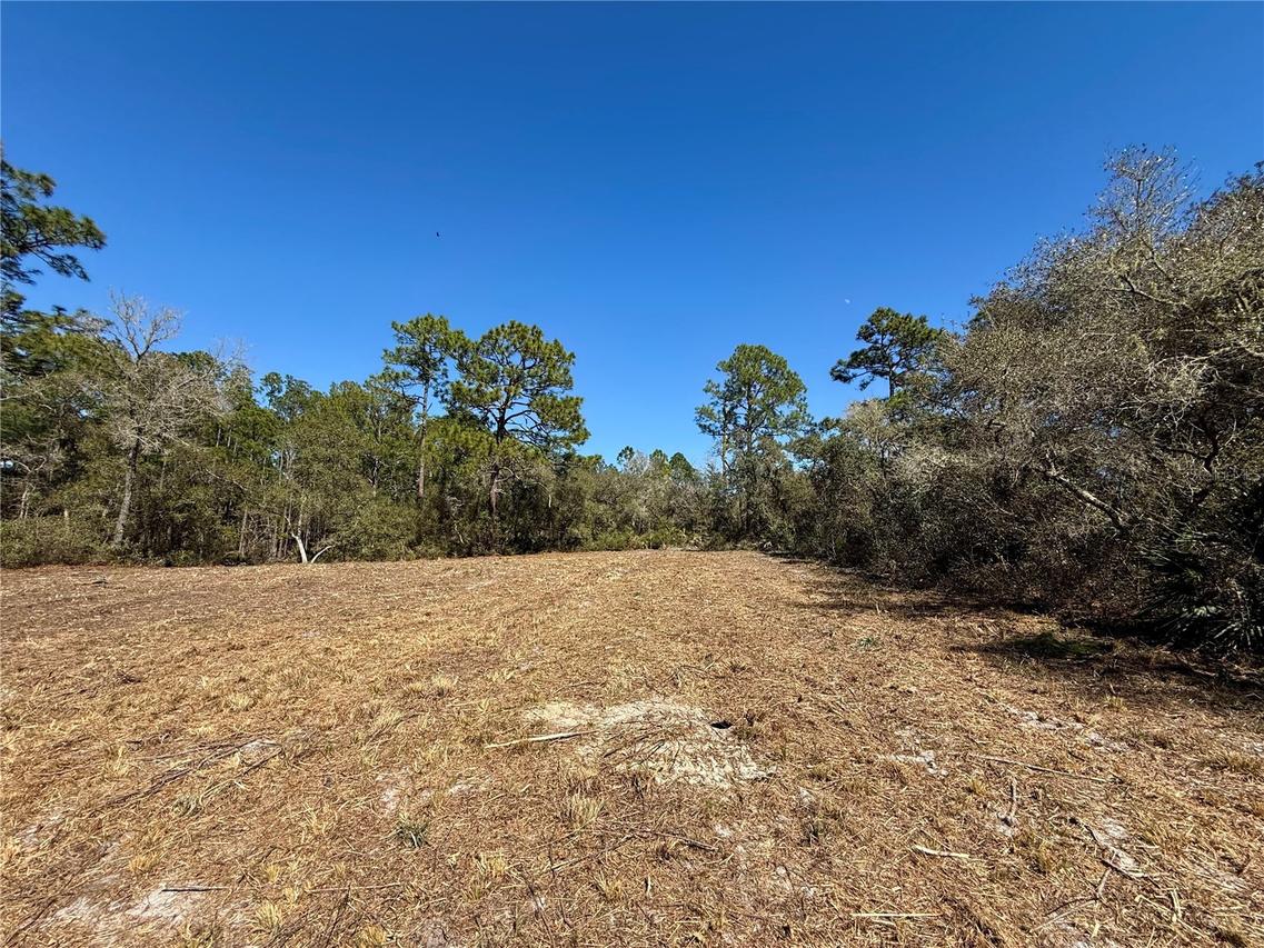 LOT 11 Poinciana St., Eustis, FL 32736