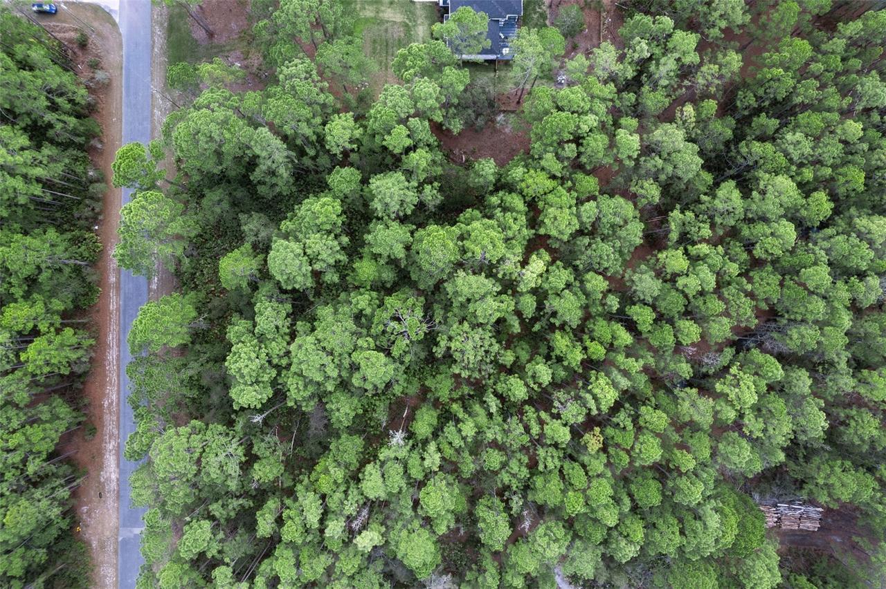 Cashew St., Eustis, FL 32736