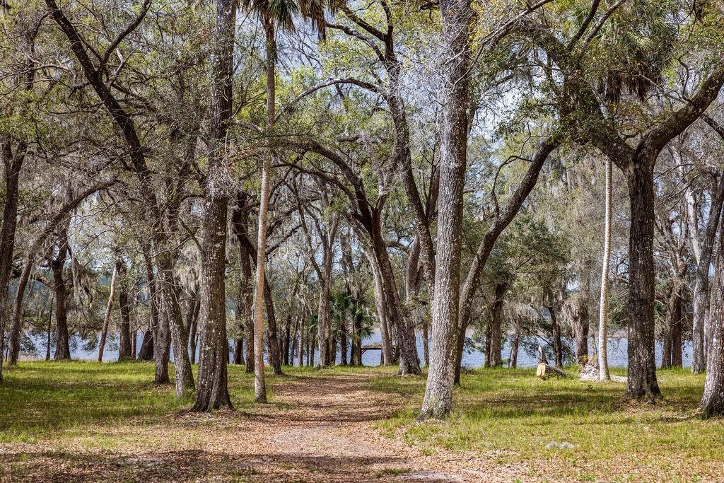 Forest  02, #2, Se 150th St., Umatilla, FL 32784