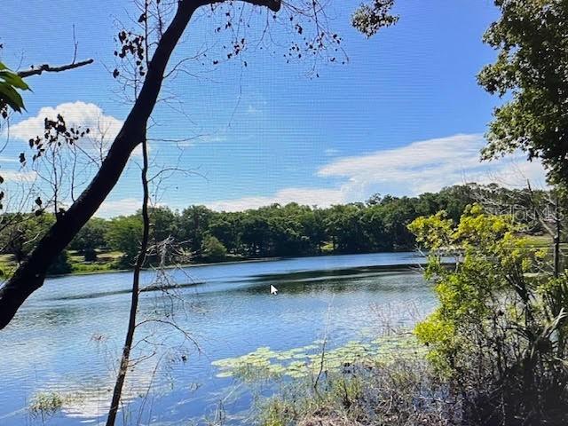 2&3 Spring Lake Rd., Fruitland Park, FL 34731