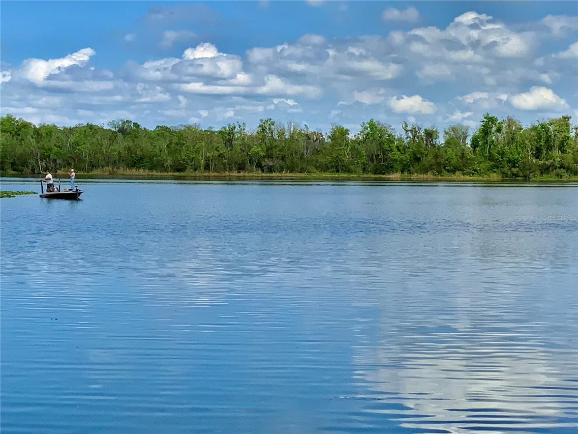 8 Orangewood Dr., Fruitland Park, FL 34731