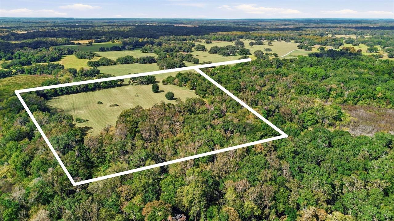 5505 Cr 634s, Bushnell, FL 33513